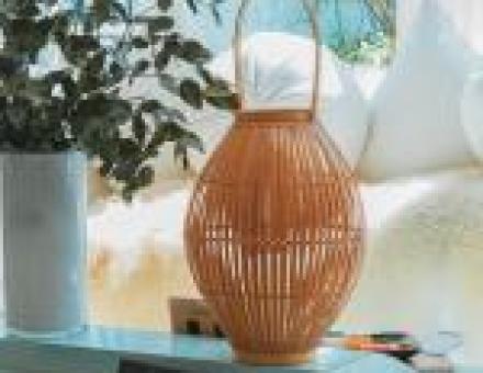 The World Caters to Average People